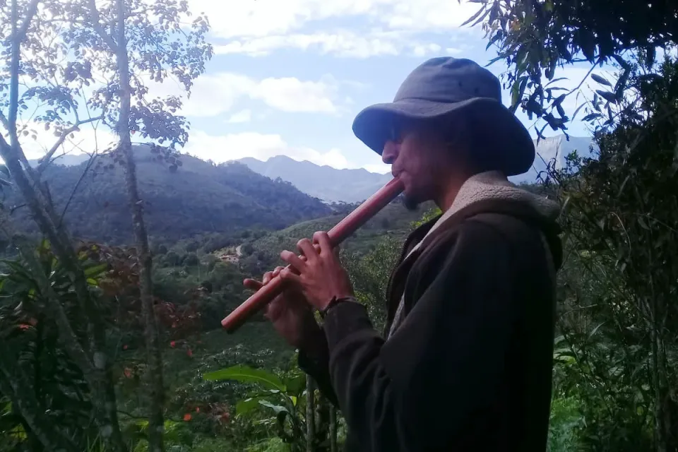 DreamFreely Calendar